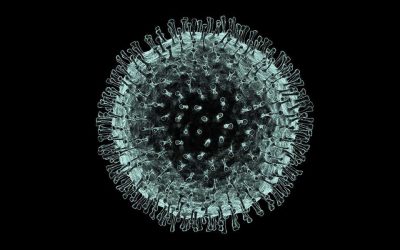 Stopping the Spread of Coronavirus